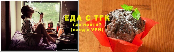 ПСИЛОЦИБИНОВЫЕ ГРИБЫ Горно-Алтайск
