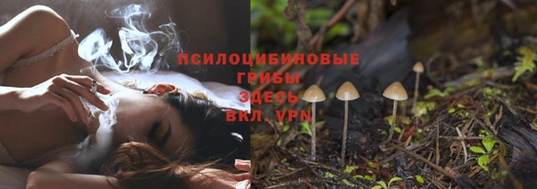ПСИЛОЦИБИНОВЫЕ ГРИБЫ Горно-Алтайск