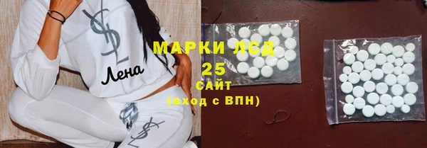 ПСИЛОЦИБИНОВЫЕ ГРИБЫ Горно-Алтайск