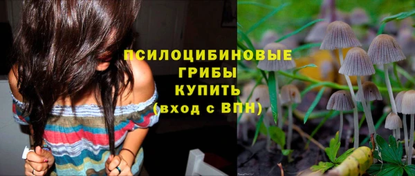 ПСИЛОЦИБИНОВЫЕ ГРИБЫ Горно-Алтайск
