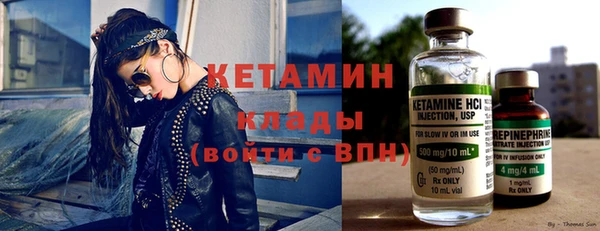 ПСИЛОЦИБИНОВЫЕ ГРИБЫ Горно-Алтайск