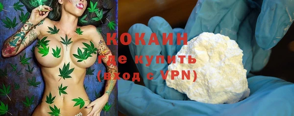 ПСИЛОЦИБИНОВЫЕ ГРИБЫ Горно-Алтайск