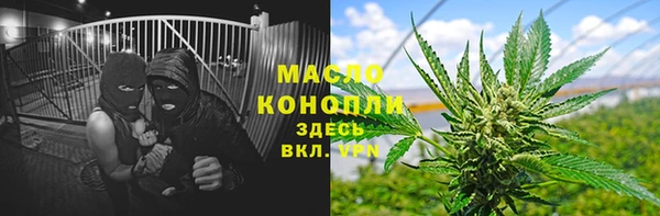 ПСИЛОЦИБИНОВЫЕ ГРИБЫ Горно-Алтайск