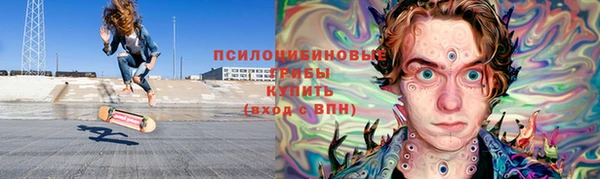ПСИЛОЦИБИНОВЫЕ ГРИБЫ Горно-Алтайск