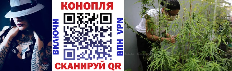 Бошки марихуана ГИДРОПОН Абакан